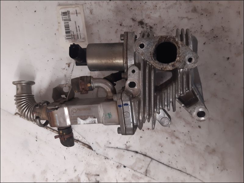 RENAULT-VANNE EGR