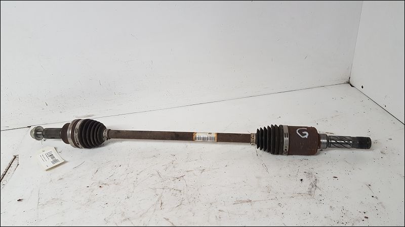 FORD-TRANSMISSION ARG