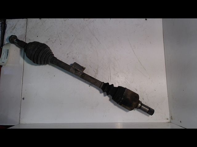 FIAT-TRANSMISSION AVG