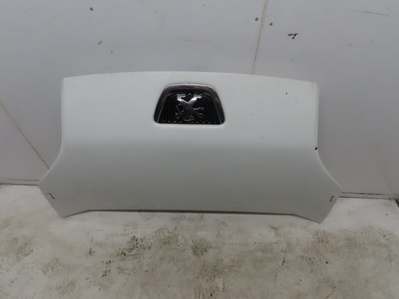 PEUGEOT-CAPOT
