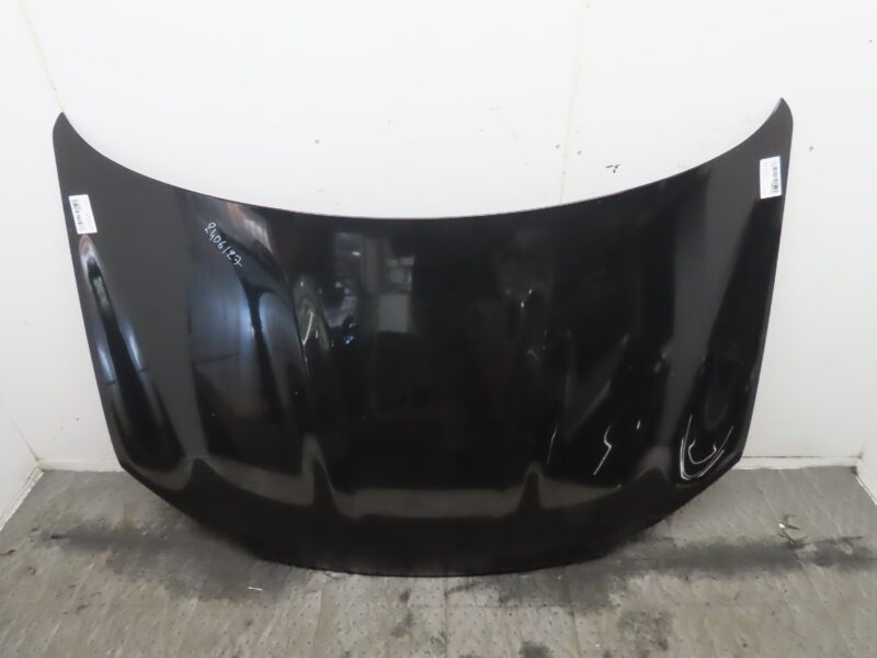 NISSAN-CAPOT