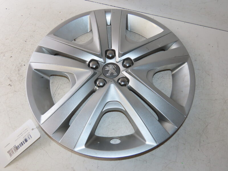 PEUGEOT-ENJOLIVEUR 1