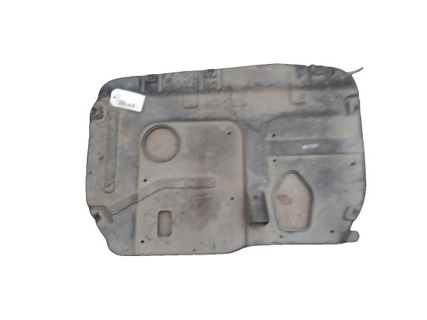 HYUNDAI-PROTECTION CARTER HUILE